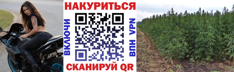 Купить наркотик Междуреченск АМФЕТАМИН  Галлюциногенные грибы  ГАШИШ  A PVP  МЕФ 