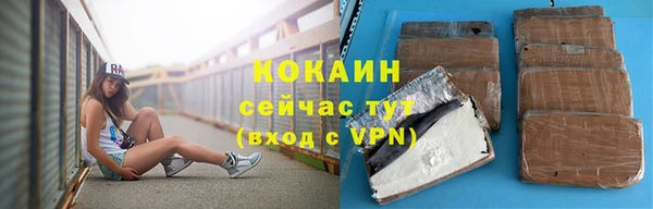 тгк Гусев