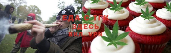 дмт Дмитровск