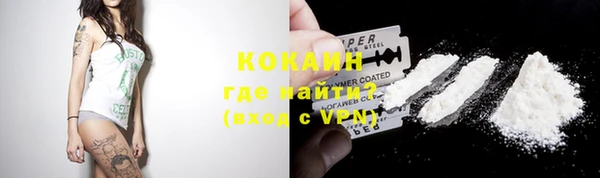 мдпв Дмитриев