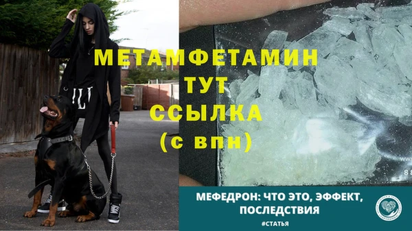 мдпв Дмитриев