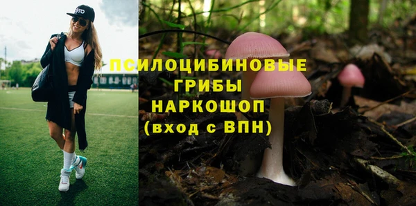 тгк Гусев