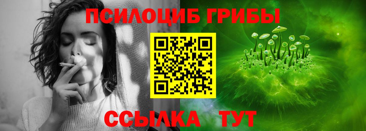 Галлюциногенные грибы ЛСД  Галлюциногенные грибы Cubensis  Вход с VPN  Междуреченск 