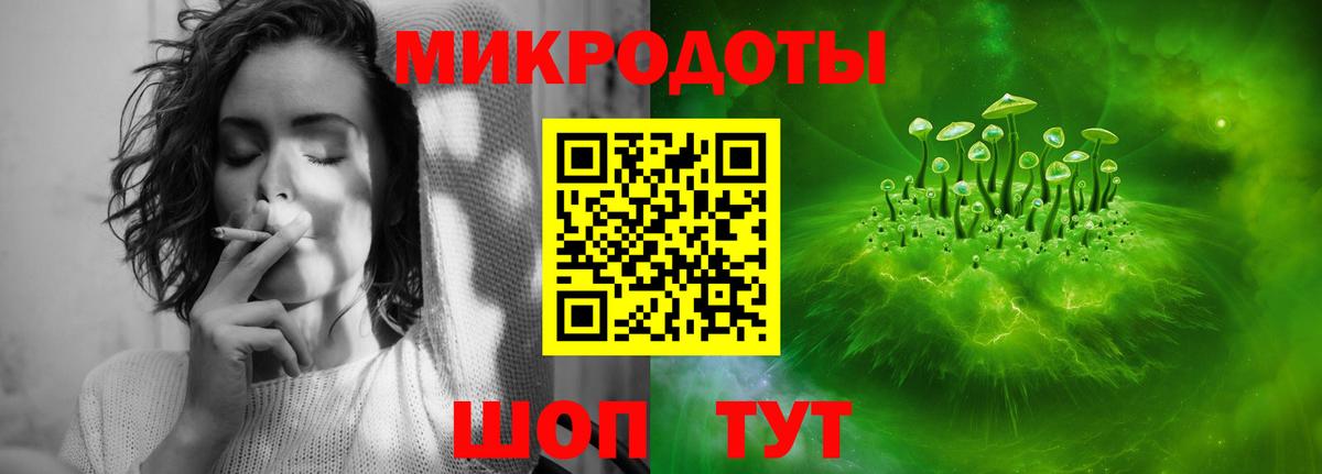 Галлюциногенные грибы прущие грибы  Междуреченск 